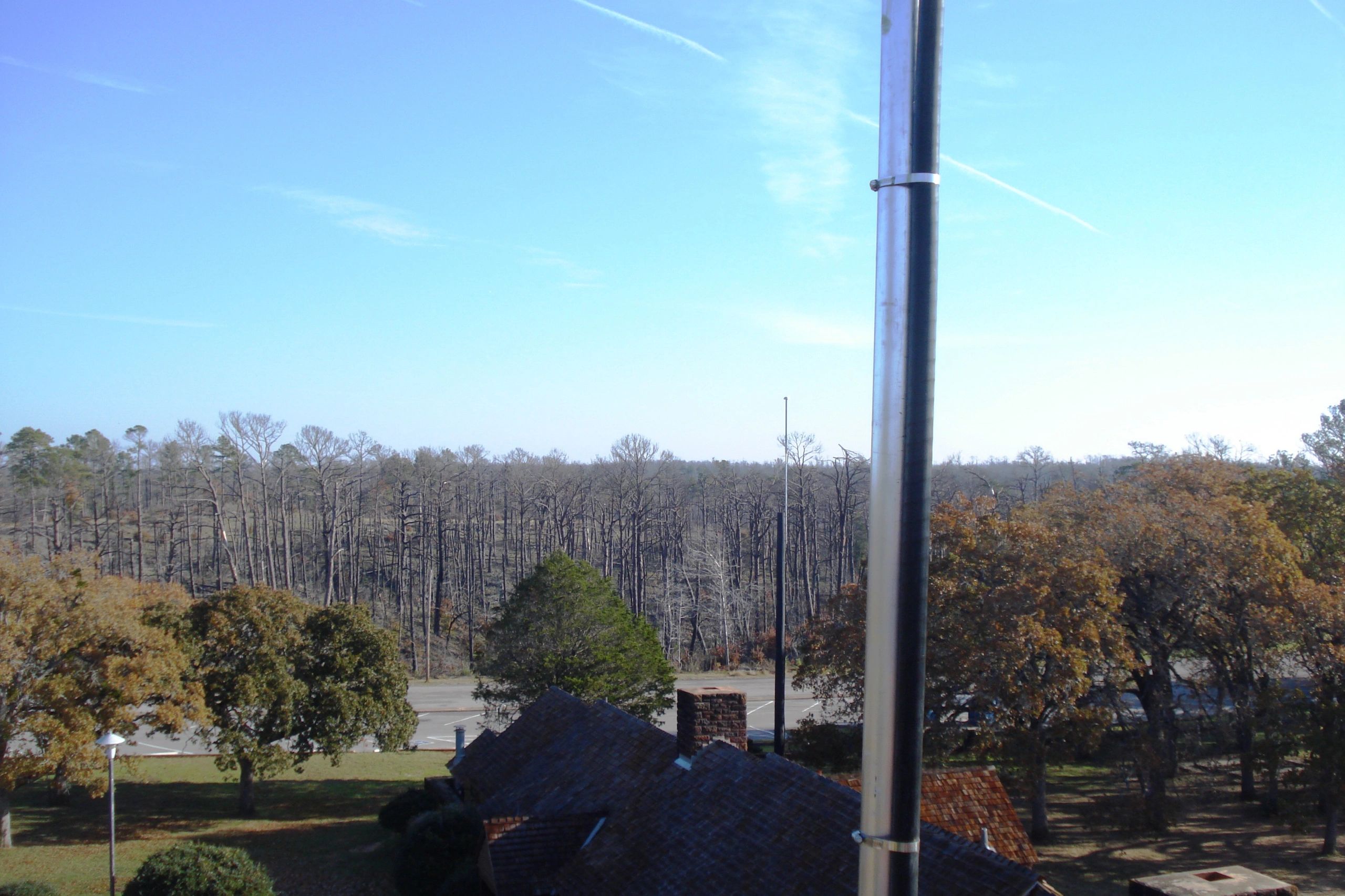 Bastrop State Park - photo 2