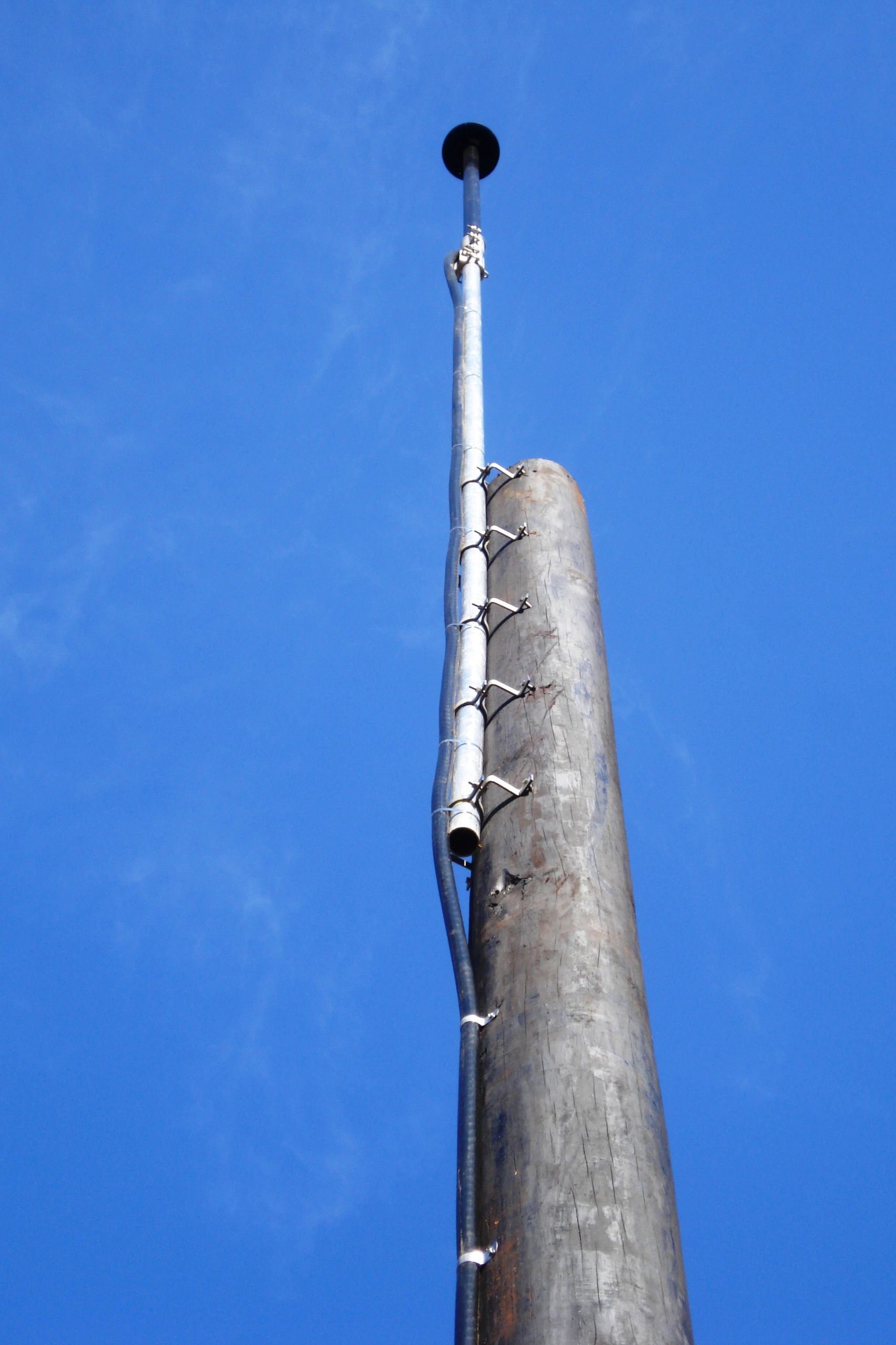 Bastrop State Park - photo 4